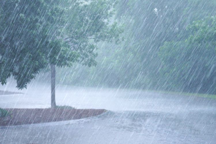 BMKG memprediksi sejumlah wilayah berpotensi cuaca ekstrem berupa hujan lebat, petir, dan angin kencang pada 24-25 Mei 2024.