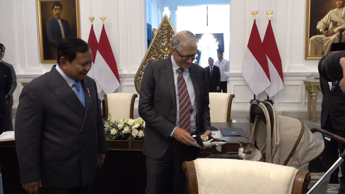 Bill Gates Hadiahkan Boneka Paus Orca untuk Kucing Presiden Prabowo ...