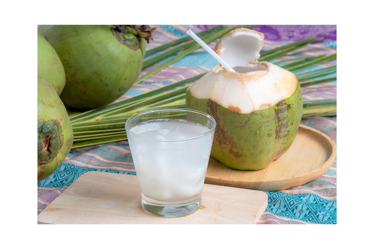 ilustrasi air kelapa muda. Berapa batas minum air kelapa muda per hari?
