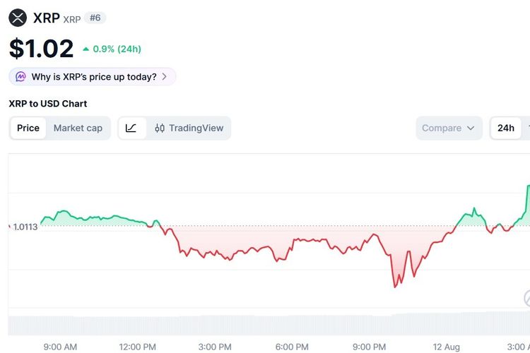 Harga XRP Hari Ini 12 Agustus 2026 Naik Tapi Rentan Turun