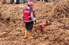 Kepala Desa Sebut Anggaran Patung Macan Mirip Zebra di Kediri dari Kocek Pribadi