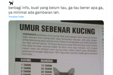 Ramai soal Tabel Usia Kucing Setara Manusia, Bisakah Dijadikan Patokan?