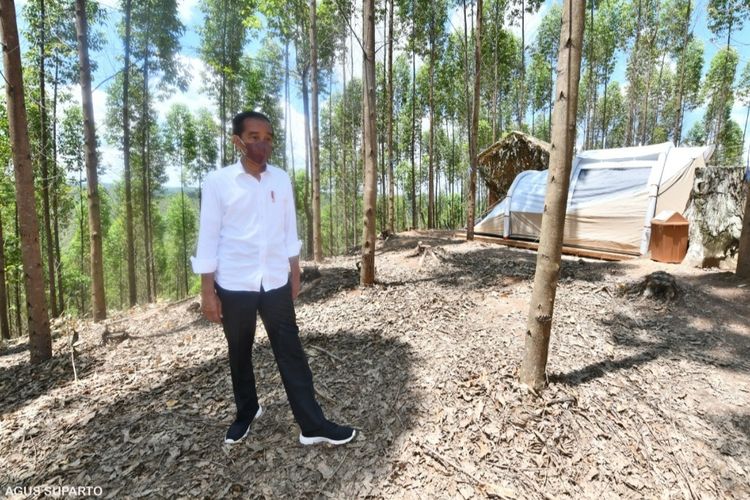 Presiden Joko Widodo saat berada di lokasi kemah di kawasan IKN Nusantara, Penajam Paser Utara, Kalimantan Timur, Senin (14/3/2022).