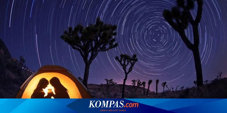 5 Cara Mendampingi Anak Cerdas Naturalis Halaman All Kompas Com