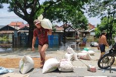 Banjir Demak dan Ancaman Terganggunya Produksi Beras...