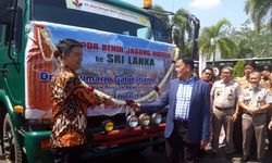 Kementan Lepas Ekspor Benih Jagung Hibrida ke Srilangka