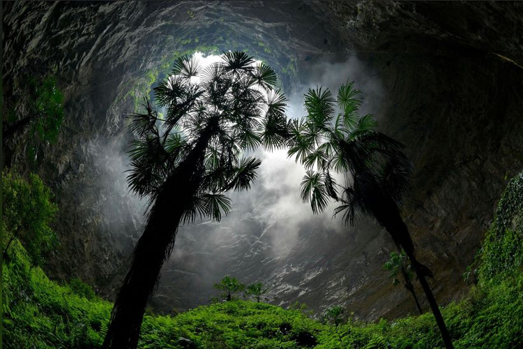 Sinkhole raksasa di China. Sinkhole ini berisi pohon kuno.