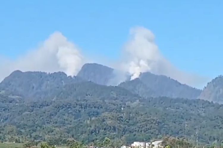Kebakaran Landa Gunung Biru di Mojokerto, Jalur Pendakian Bukit Cendono Ditutup Sementara