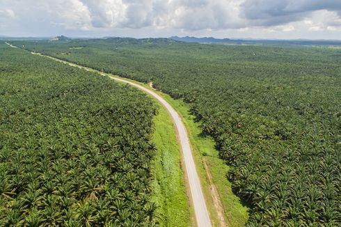 PT Dharma Satya Nusantara Pastikan Pabrik Bio-CNG Mulai Beroperasi Bulan Depan