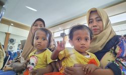 BRIN Teliti Daun Kelor untuk Cegah Balita Stunting