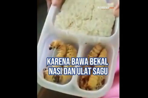 Viral Siswa SD Bawa Bekal Ulat Sagu, Dosen UM Surabaya Tanggapi dengan 5 Hal