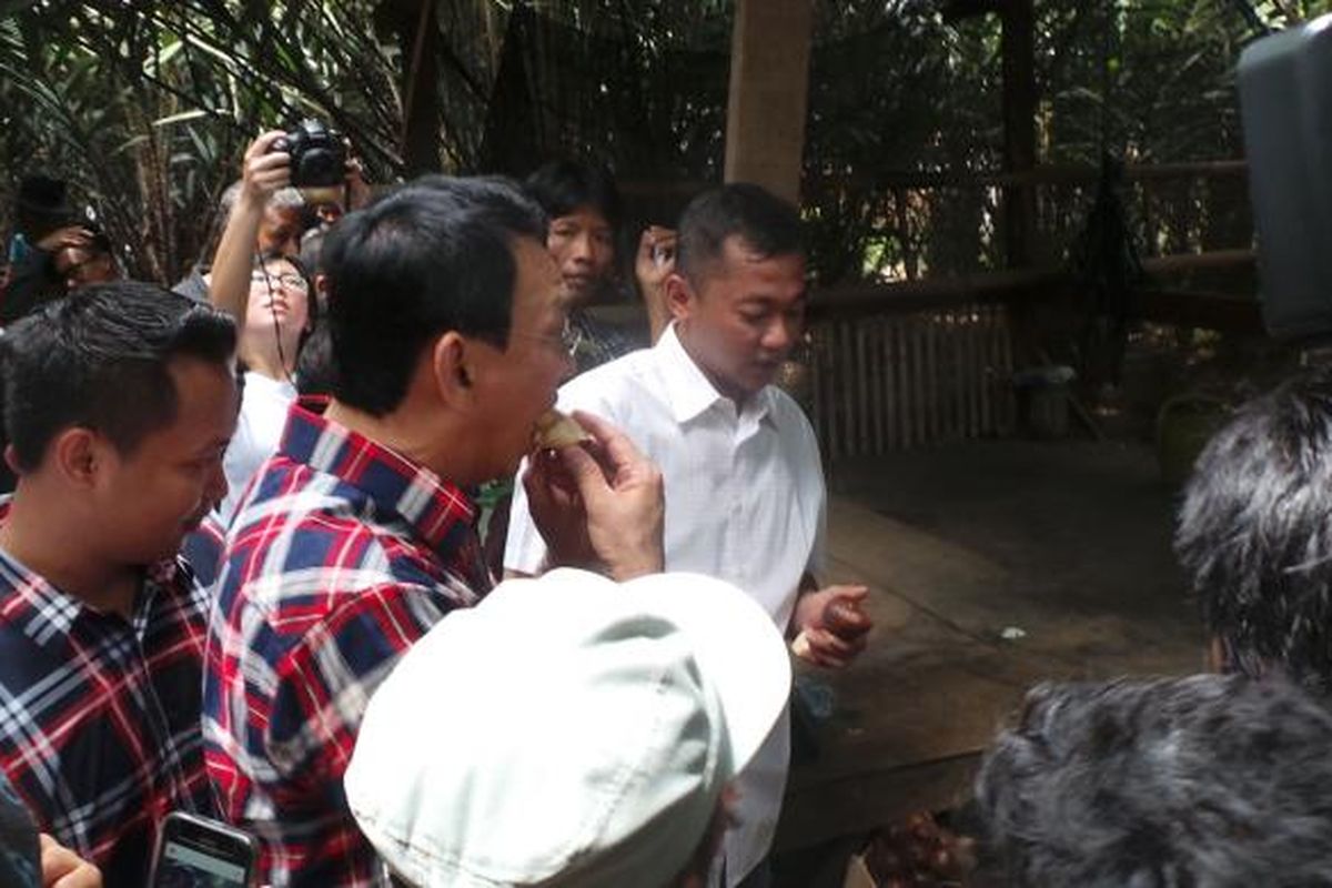 Calon gubernur DKI Jakarta Basuki Tjahaja Purnama saat mengunjungi kebon salak, di kawasan Condet, Jakarta Timur, Senin (23/1/2017).