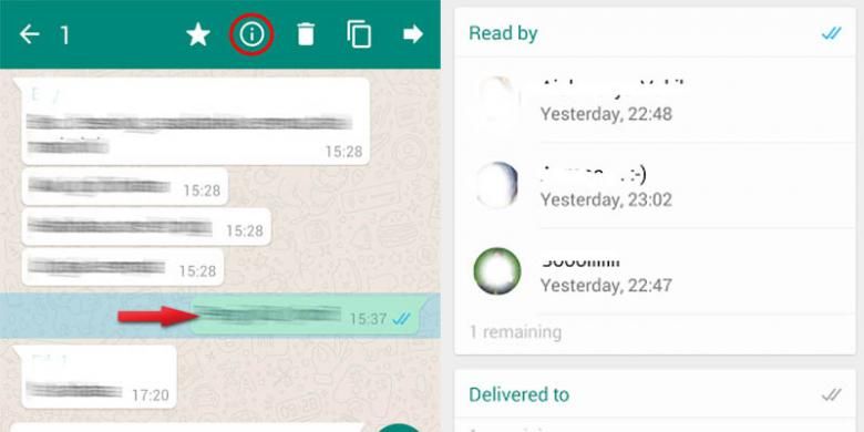 Ini Tanda Pesan Di Grup Whatsapp Sudah Dibaca