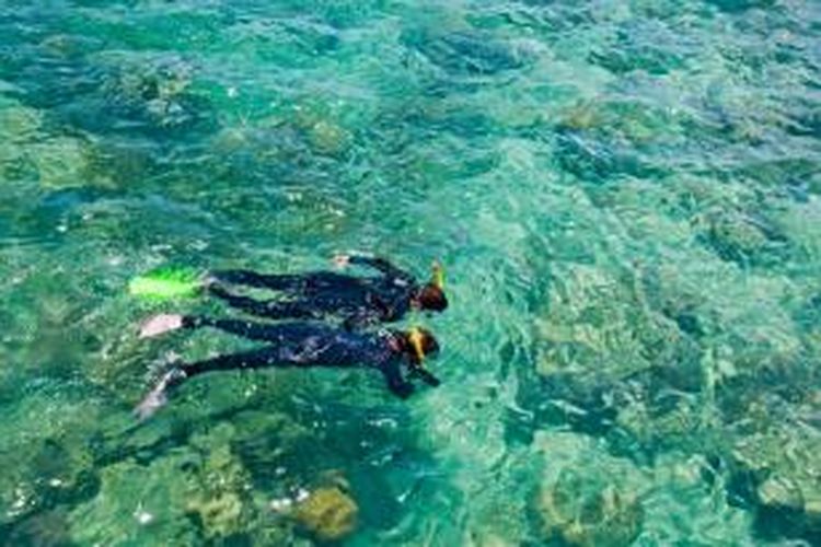 Snorkling di Great Barrier Reef, Queensland, Australia. 