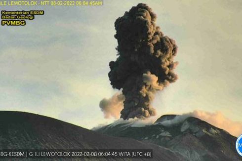 Gunung Ile Lewotolok Semburkan Material Vulkanik Setinggi 500 Meter, Masyarakat Diminta Waspada