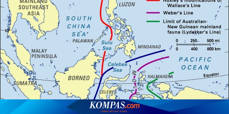 Garis weber dan garis wallace membagi indonesia menjadi 3 wilayah antara lain