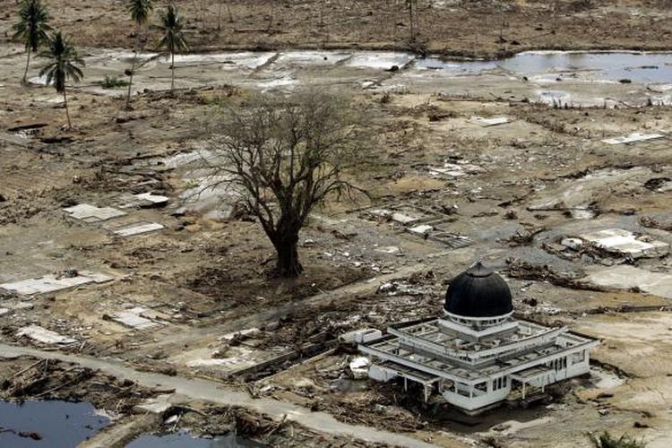 Foto masjid yang menjadi satu-satunya bangunan utuh di wilayah Meulaboh yang diambil pada 2 Januari 2005, menjadi salah satu foto yang paling diingat Eugene Hoshiko, fotografer Associated Press yang meliput tsunami Aceh. Tsunami meluluhlantakkan Aceh pada 26 Desember 2004