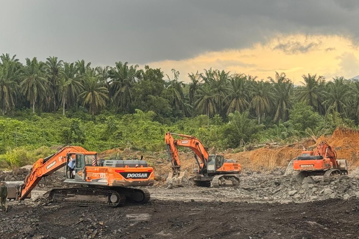 Alat berat digunakan untuk menambang batu bara ilegal di Cagar Alam Teluk Adang, Kalimantan Timur.
