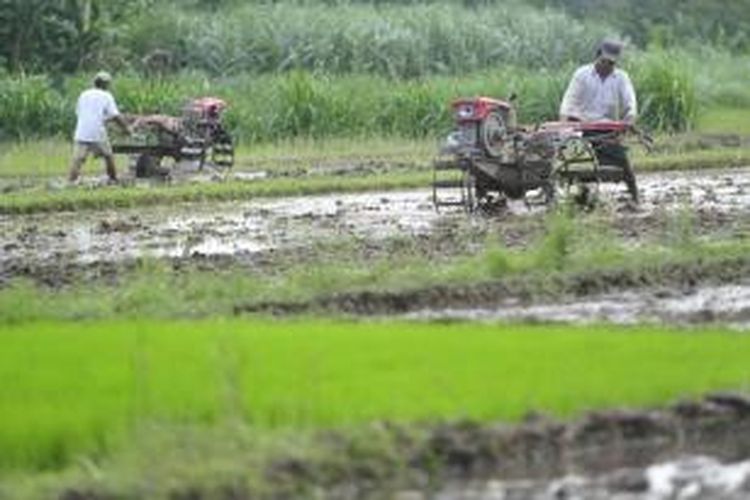 Berapa Persen Yang Dikeluarkan Untuk Zakat Pertanian