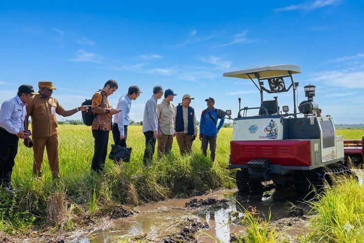 Pemerintah dan China Bahas Pabrik Alat Pertanian di Merauke