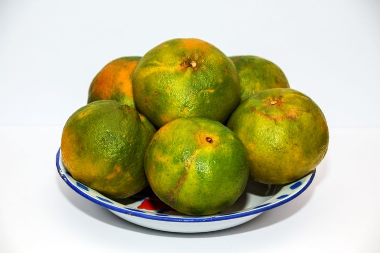 Ilustrasi buah jeruk keprok.