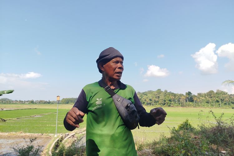 Jeritan Petani di Tengah Lemahnya Rupiah: Bukan Naik Lagi, tapi Pindah Harga!