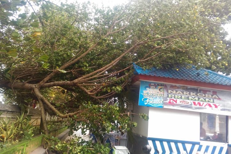Pohon tumbang menimpa pos polisi di Kuta, Badung, Sabtu (4/1/2020).