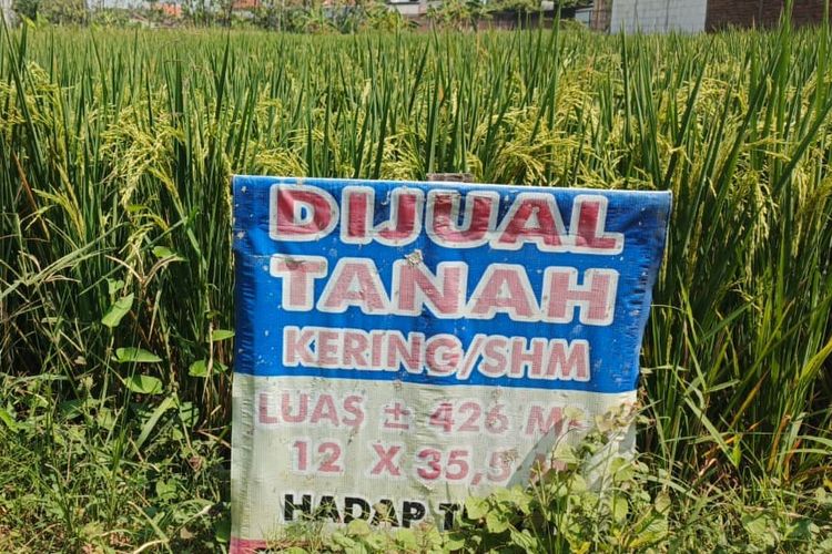 Status Sertifikat Tanah Bisa Dicek di BPN, Tarifnya Rp 50.000