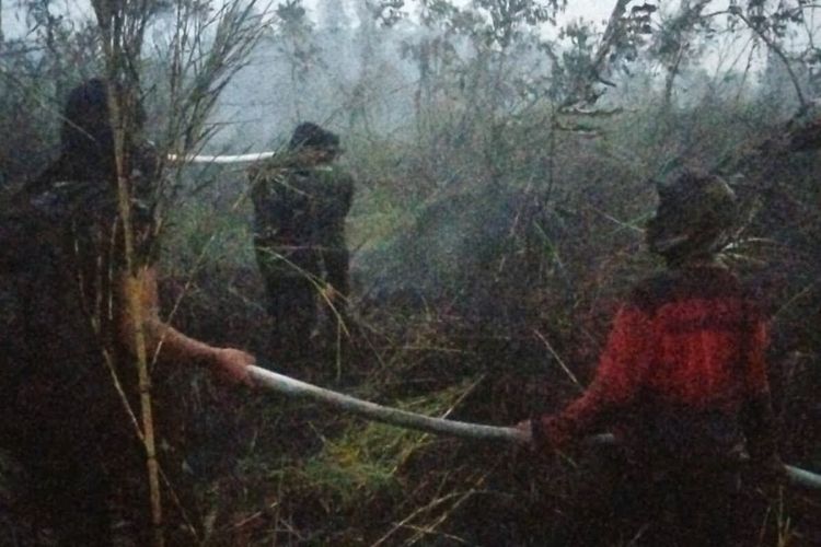 Karhutla Way Kambas Belum Padam, Ahli Ingatkan Keselamatan Petugas