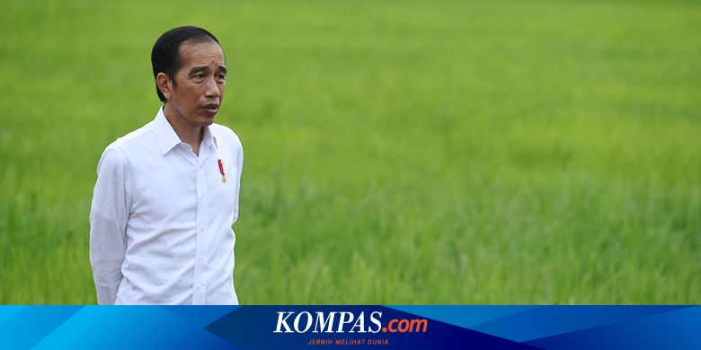 Mengenal Food Estate, Program Jokowi yang Disebut PDI-P Proyek Kejahatan Lingkungan