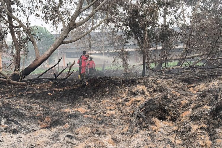 MIND ID Kerahkan 60 Personel Tangani Karhutla di Mempawah