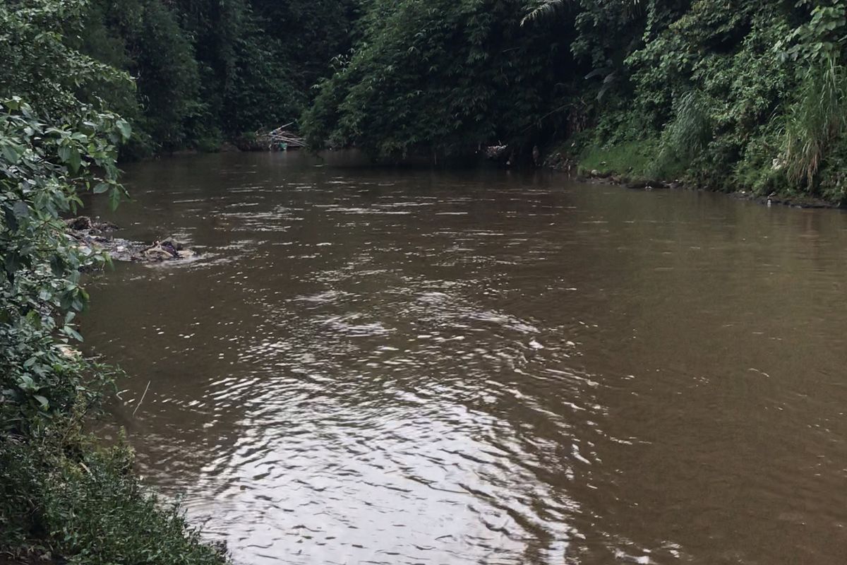 Kali Ciliwung di Kemiri Muka, Beji, Kota Depok, Jawa Barat.