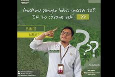 Pemprov Jatim Bagi-bagi Bibit Gratis, Ini Syarat dan Cara Mendapatkannya