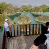 tour ke raja ampat dari jakarta