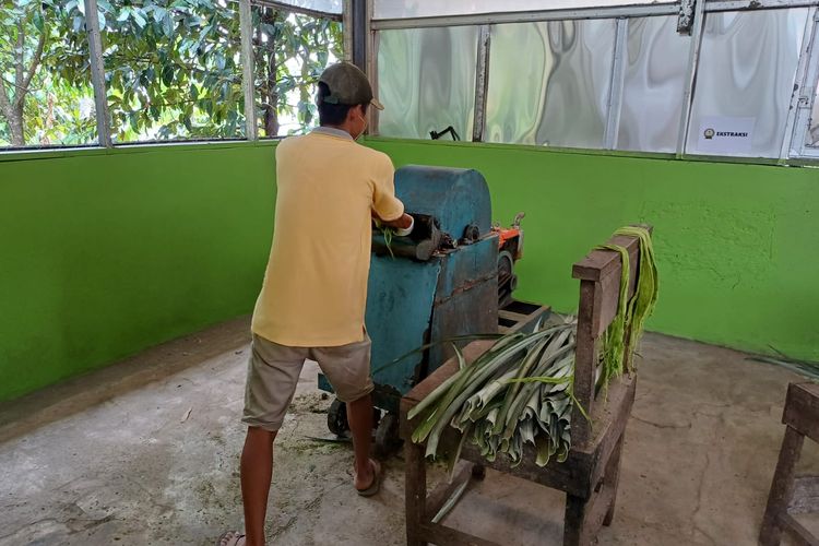 Karang taruna Desa Cikadu mengolah limbah daun nanas menjadi serat nanas dengan alat decorticator yang diciptakan oleh local hero Alan Sahroni, didampingi program CSR PEP Subang.