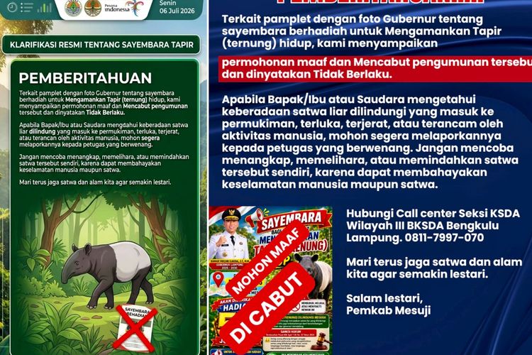 Sayembara untuk Amankan Tapir di Mesuji Dicabut, BKSDA Khawatir Picu Perburuan Satwa