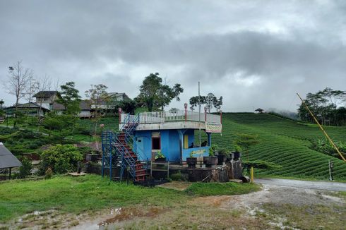 6 Wisata di Lebak, Ada Negeri di Atas Awan