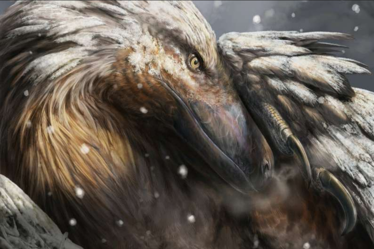 foto-dinosaurus-berdarah-panas-pertama-muncul-180-juta-tahun-lalu