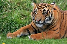 Cita Rahayu Lapor Polisi atas Dugaan Perbuatan Tidak Menyenangkan