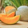 Alasan Harga Melon Jepang Mahal, Capai Jutaan Rupiah Per Buah