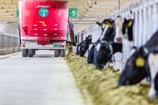 Industri Susu China Perketat Standar Keamanan Pangan