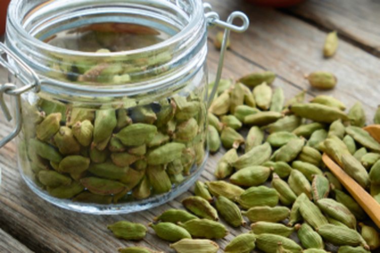 Ilustrasi kapulaga hijau