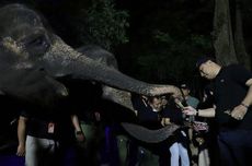 Surabaya Night Zoo Bakal Dibuka Awal Juni 2023