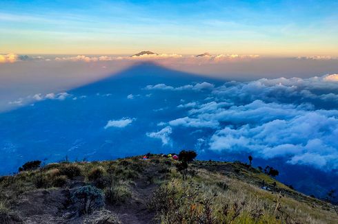 Gunung Sumbing: Jalur Pendakian, Tingkat Kesulitan, dan Keindahan yang Ditemukan    