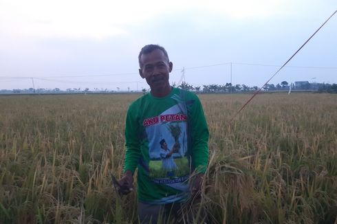 Berkat Pertanian Organik, Petani Blora Lepas dari Ketergantungan Pupuk Kimia