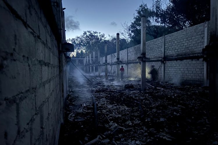 Kandang di Badung Terbakar, 19 Ribu Bibit Ayam Hangus Rugikan Rp 1,2 Miliar
