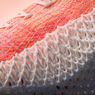 Futurecraft Strung, Inovasi Adidas yang Ubah Teknologi Sneaker