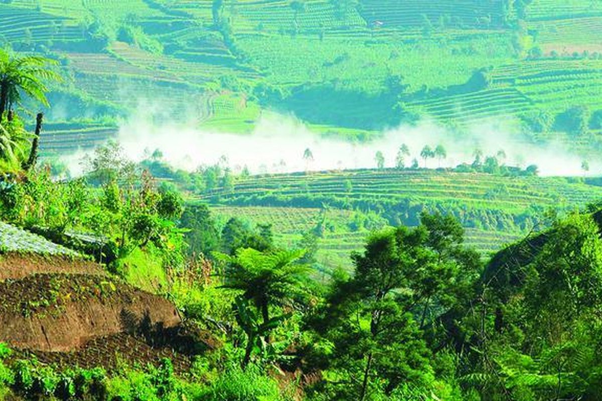 Aliran uap air yang terjebak di antara gas karbon dioksida (CO) mengalir dari Kawah Timbang di Dataran Tinggi Dieng, Kabupaten Banjarnegara, Jawa Tengah, Selasa (26/3). Status Kawah Timbang di Dusun Simbar, Sumberejo, Kecamatan Batur,  tiga pekan ini  masih ditetapkan  Waspada.