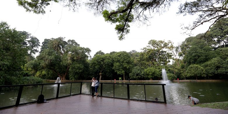 Wisatawan mengunjungi Kebun Raya Bogor, Jawa Barat, Jumat (19/5/2017). Kebun botani yang digagas oleh Prof C.G.C Reinwardt seorang botanis berkebangsaan Jerman sebagai tempat penelitian ini genap berusia 200 tahun.