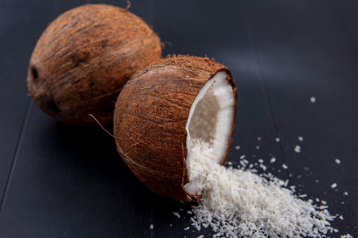 Ilustrasi kelapa. Harga kelapa parut di Sragen, Jawa Tengah, mengalami lonjakan signifikan pasca-Lebaran 2025. Dari yang semula hanya Rp 8.000 per butir, kini harga kelapa parut menembus Rp 15.000 per butir di sejumlah pasar tradisional.